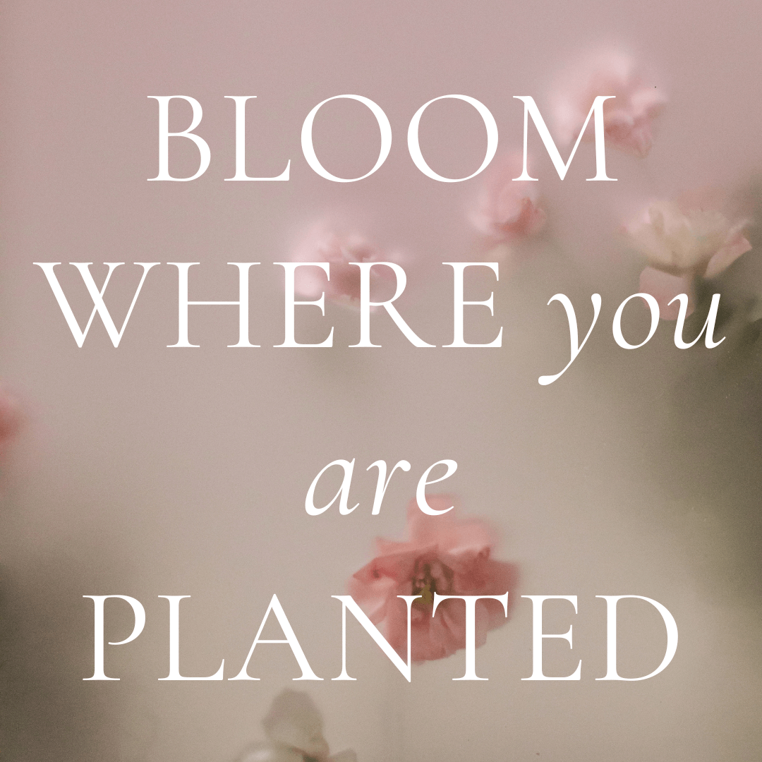 Bloom where you are planted